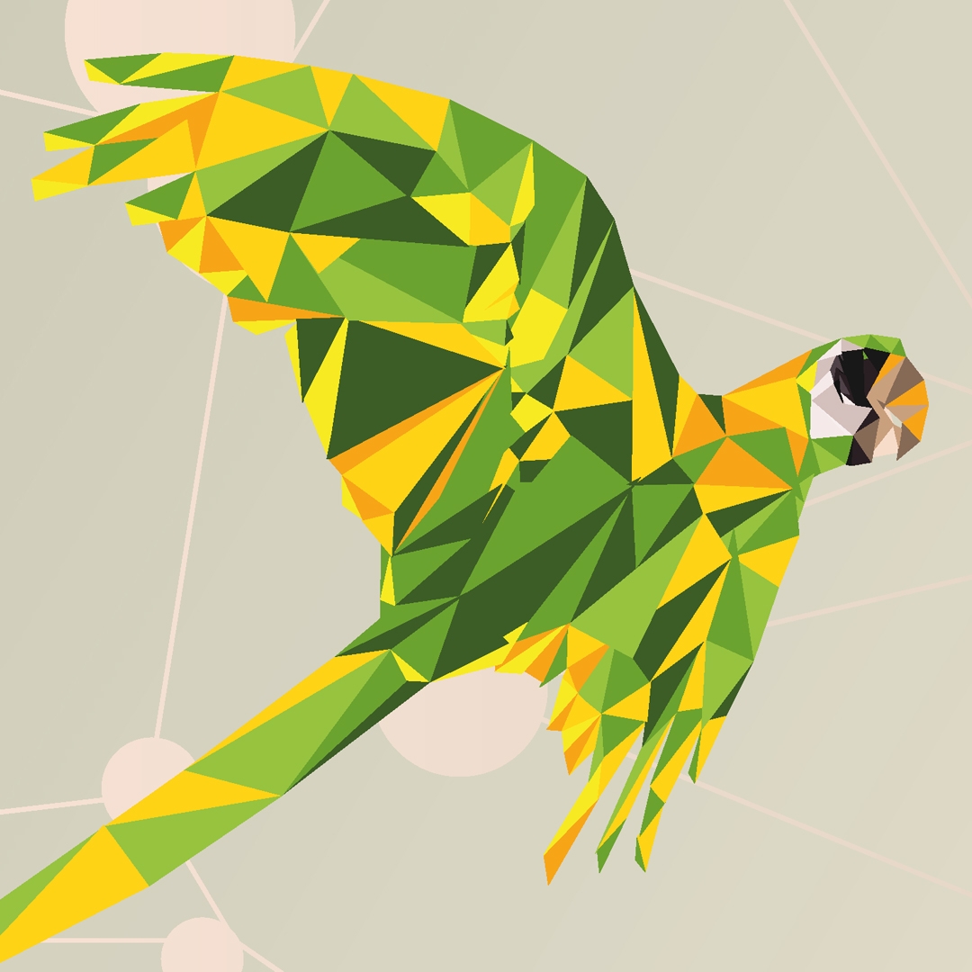 Parrot 3: Royal Joh. Enschedé